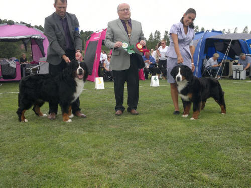 BIM Ken och BIR  Sennenhund Rossii Poli (ryssland) Eskilstuna 20130818