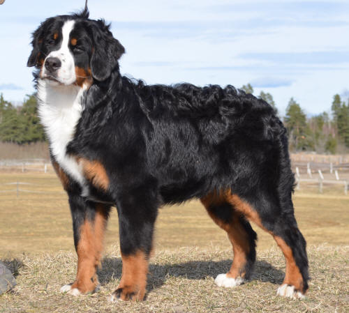 Stina ca 8 months