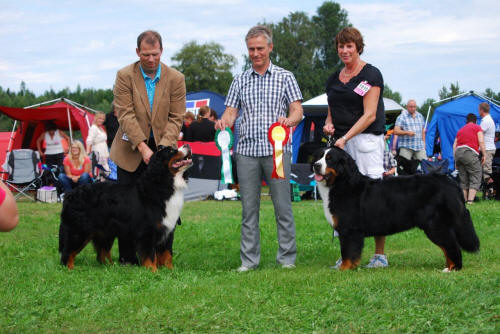 BIM Keno och BIR Berntiers Quest for Gold Rans�ter fredag 2011. Foto Jim Nilsson