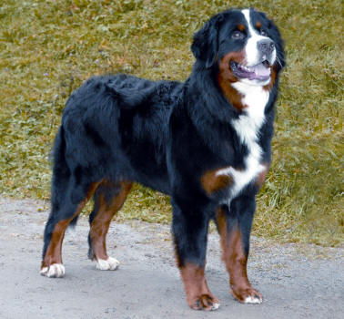 Sverre ca 10 m�nader
