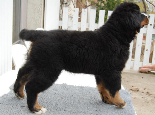 Grimm 3 months