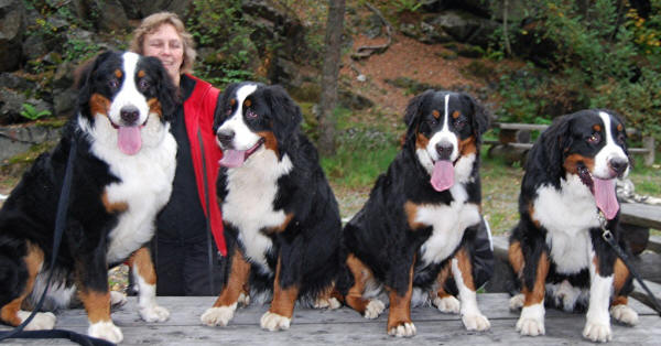 Bruno, Nanne, Nikita, Nixon