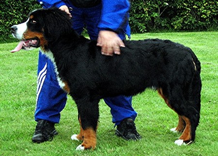 Kurri 6 m�nader/month