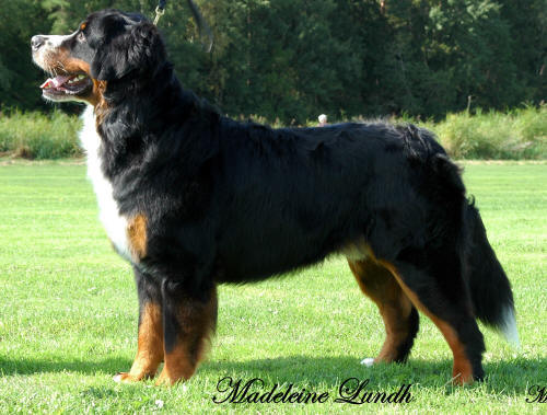Legolas ca 15 m�nader
