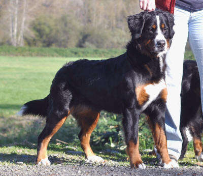 libby 1 year