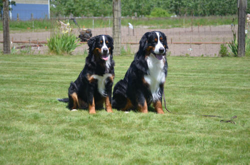 Libby och Espen 2�r 8 m�n