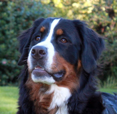 libby 1 year