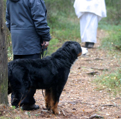 Nellie och sp�kena