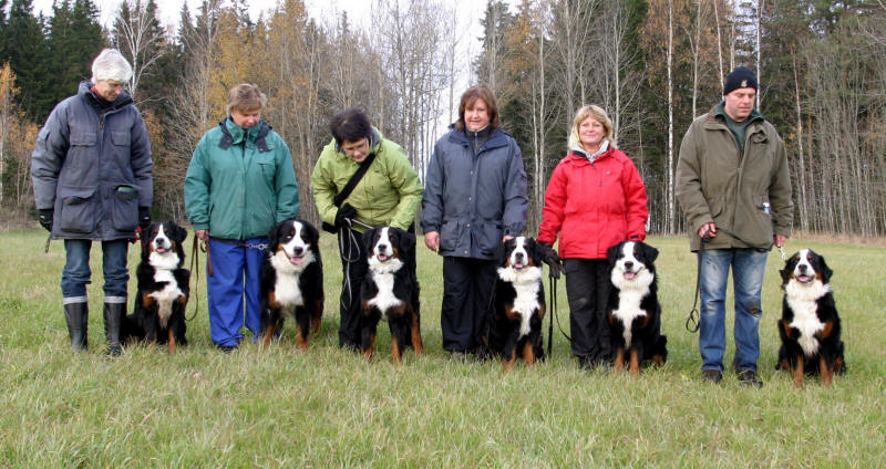 Fr v�: Nikki, Newton, Nilla, Nellie, Nero och Nisse ca 1,5 �r. 