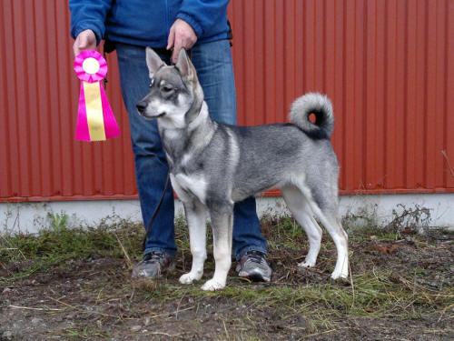 Mega ca 6 m�n BIR och BIG 4 inoff M�rteng�s
