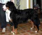 Nellie ca 8 m�nader