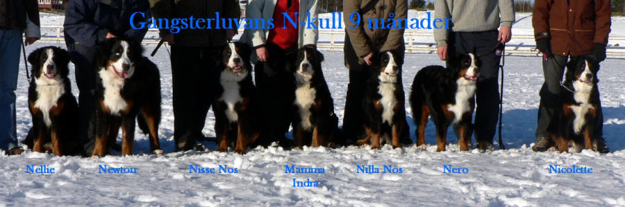 N-kull med mamma Indra i mitten