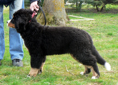 O Helga ca 3,5 m�nader