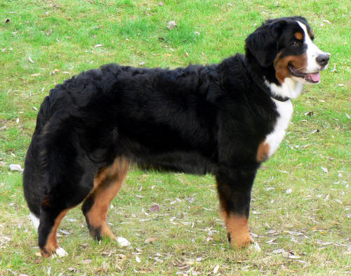 O Helga 9 months