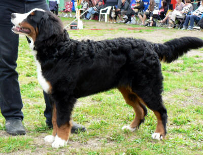 Oskar Or�dd ca 8 m�nader