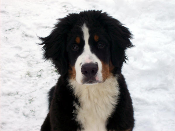 Quba ca 5 m�ander