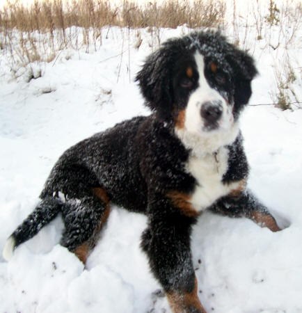 Quba ca 5 m�ander