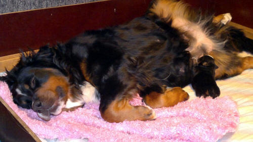 R-kull 1 vecka matdax!! Ladys favorit position!!