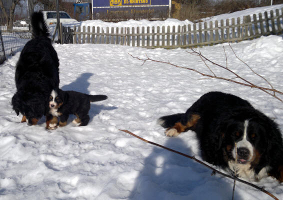 3 genarationer, Lady, Keno  och Ruter Dam