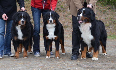 mamma Lady 3 �r, Rut 9 m�n, pappa �zzie 4 �r