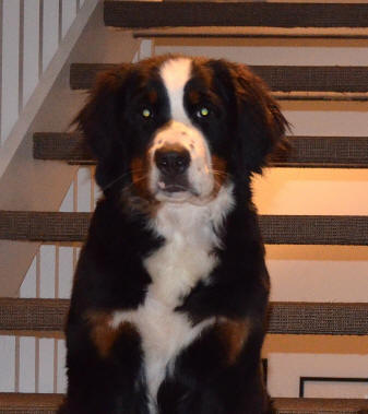 Stina Stubin 6 months