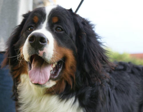 Greco 9 months