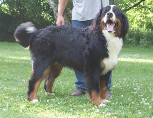 Greco 9 months