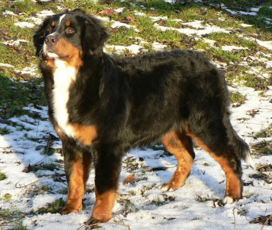 Lady 8 months