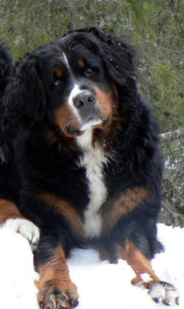 Lady ca 2 years