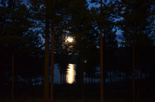 Utsikt fr�n v�r stuga!! sommaren 2012