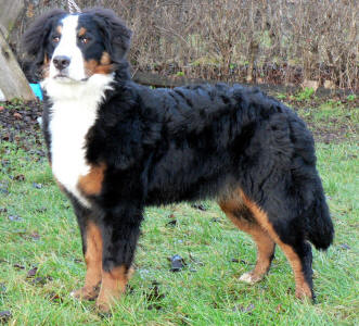 Nilla Nos ca 8 m�nader