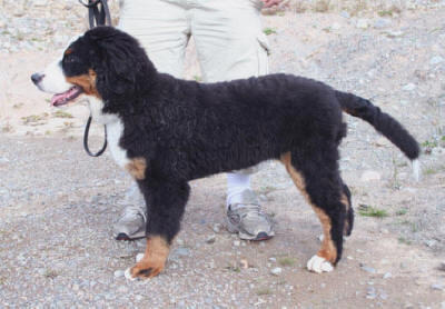 Nilla Nos n�stan 5 m�nader