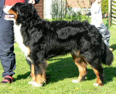 Oskar Or�dd ca 1 �r och 5 m�n