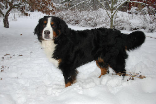 Oskar ca 5 �r.