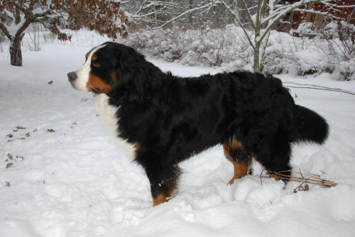 Oskar ca 5 �r. 
