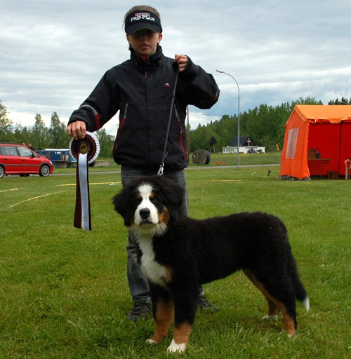 Viktor 11 r Vann Barn med hund i Karlskoga 09, Qulan ca 4,5 mn