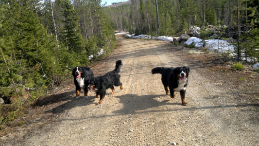 Promenad i stugan