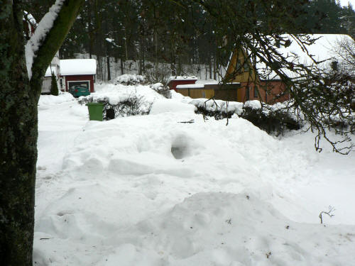 v 8 2010. Viktors brjan till sngrotta hemma. 